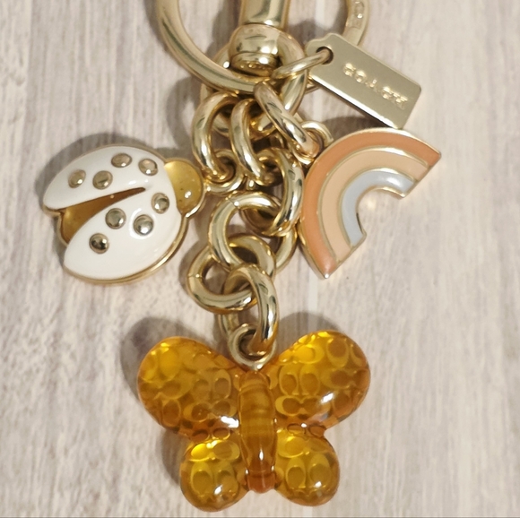 Coach Accessories - Coach Mix Butterfly Ladybug Pastel Rainbow Bag Purse Charm Keychain Fob CH844